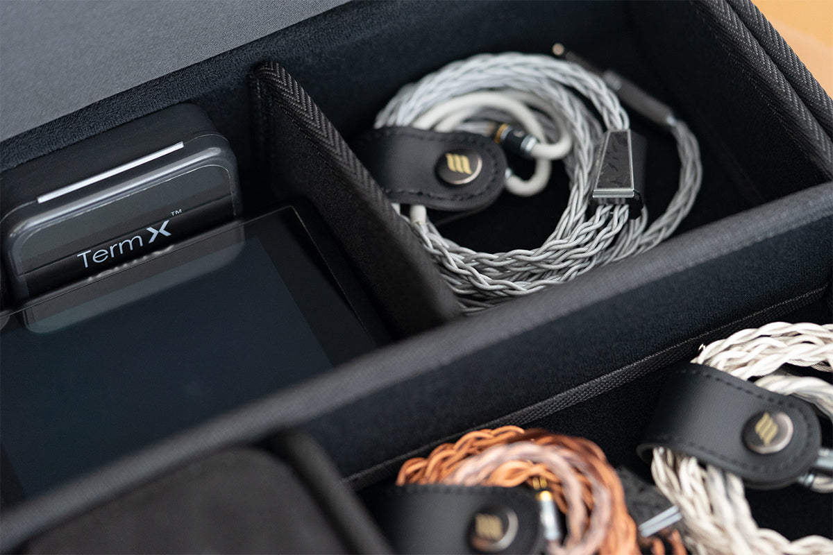 Chamber Carrying Case