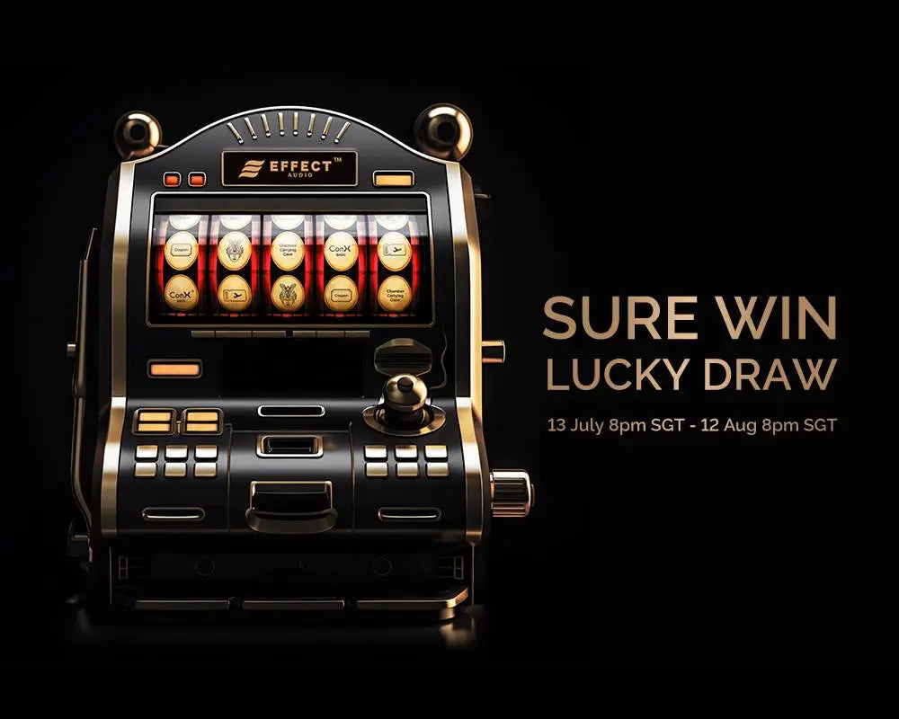 Sure Win Raffle Draw Sure Win Friendship Draw – Effect Audio