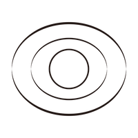 ArcCurve™